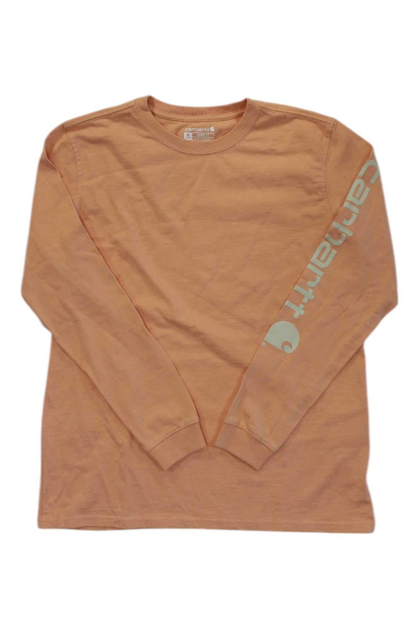 Carhartt Mens Loose Fit Heavyweight LS Outlast Graphic T-Shirt
